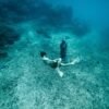 Persona buceando cerca de una estatua sumergida en un fondo marino con corales y agua clara.