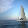 Catamarán a vela navegando en mar abierto bajo un cielo despejado con un avión visible a lo lejos.